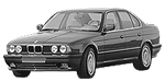 BMW E34 C1895 Fault Code